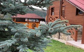 Аура Карпат